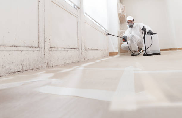24/7 Emergency Commercial Mold Remediation experts in Thorofare, NJ